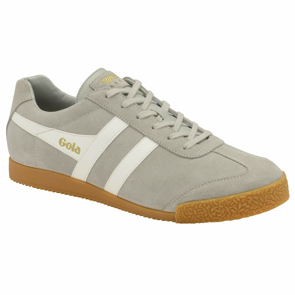 Gola Classics Harrier Suede Men Sneakers Light Grey / White | OCELNJ803