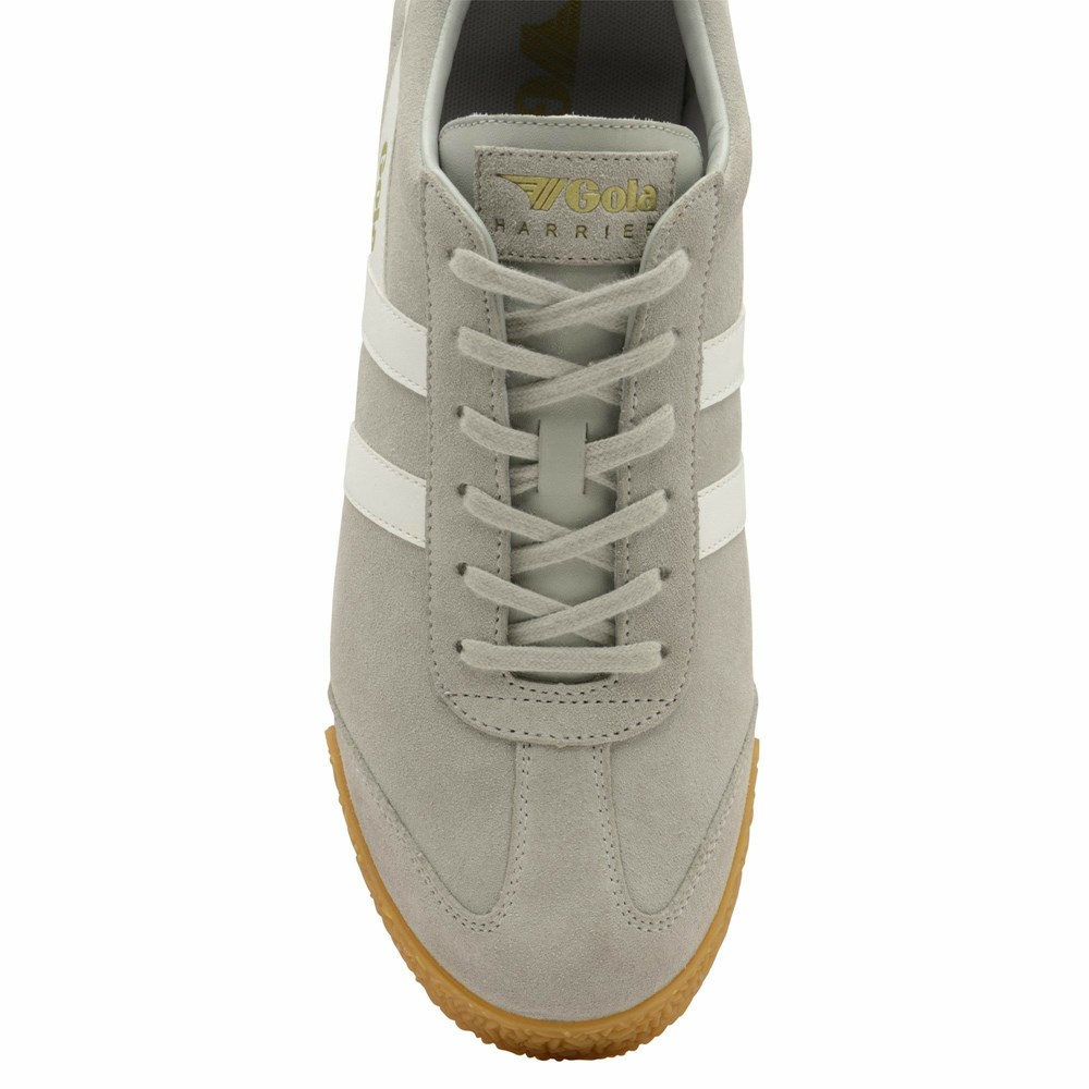 Gola Classics Harrier Suede Men Sneakers Light Grey / White | OCELNJ803