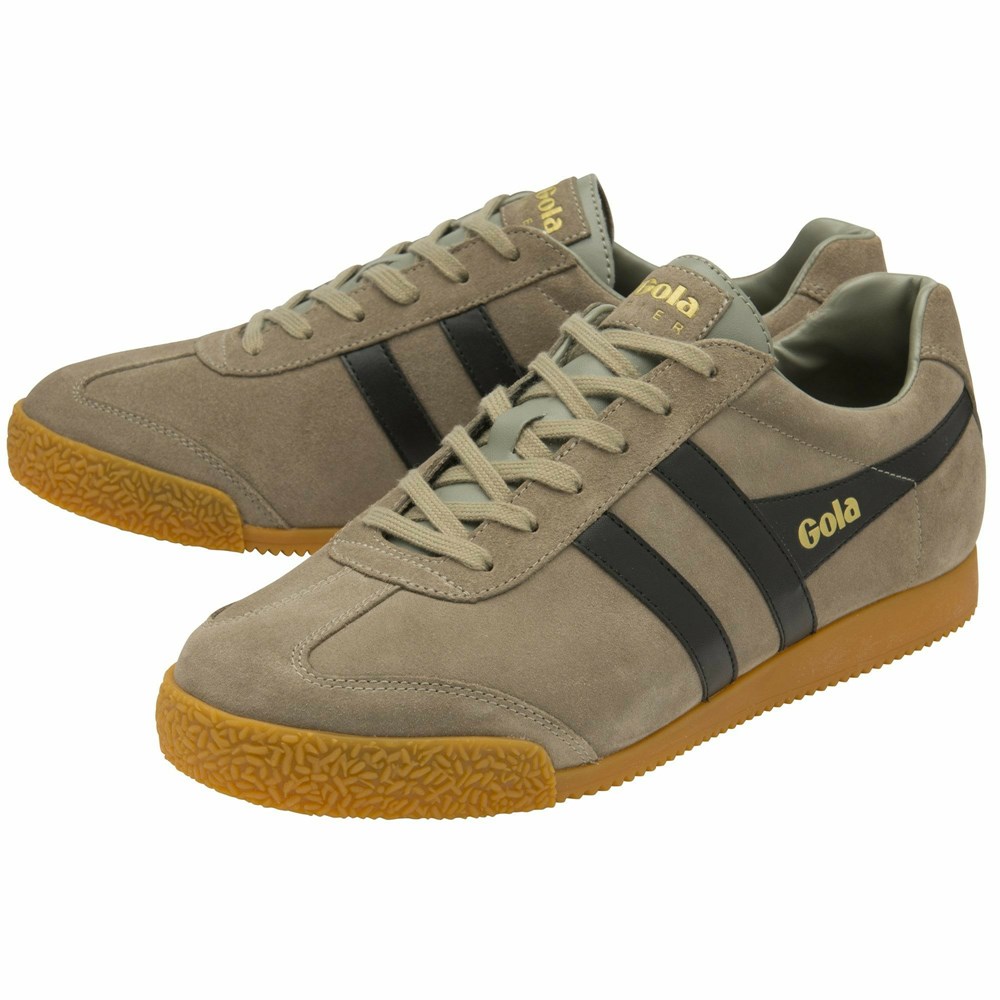 Gola Classics Harrier Suede Men Sneakers Black | MRLWBA379