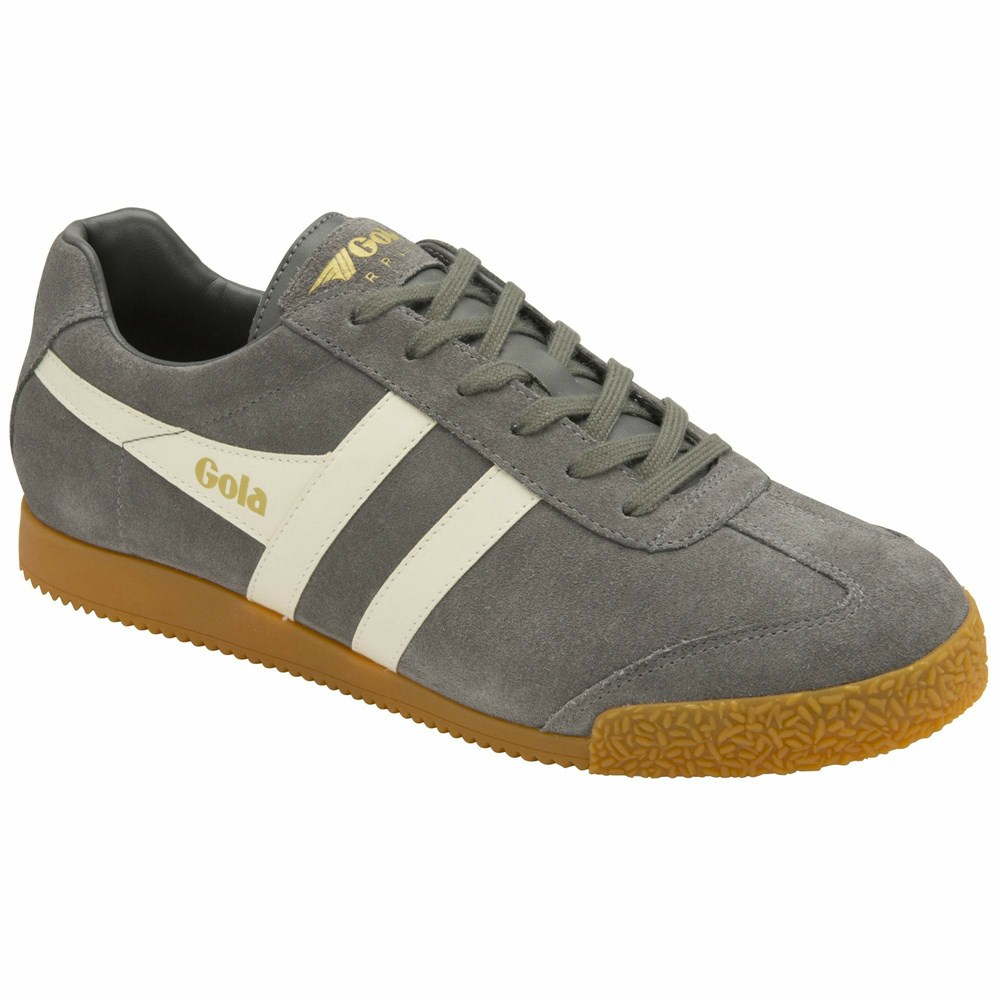 Gola Classics Harrier Suede Men Sneakers Grey | ROSJIQ428