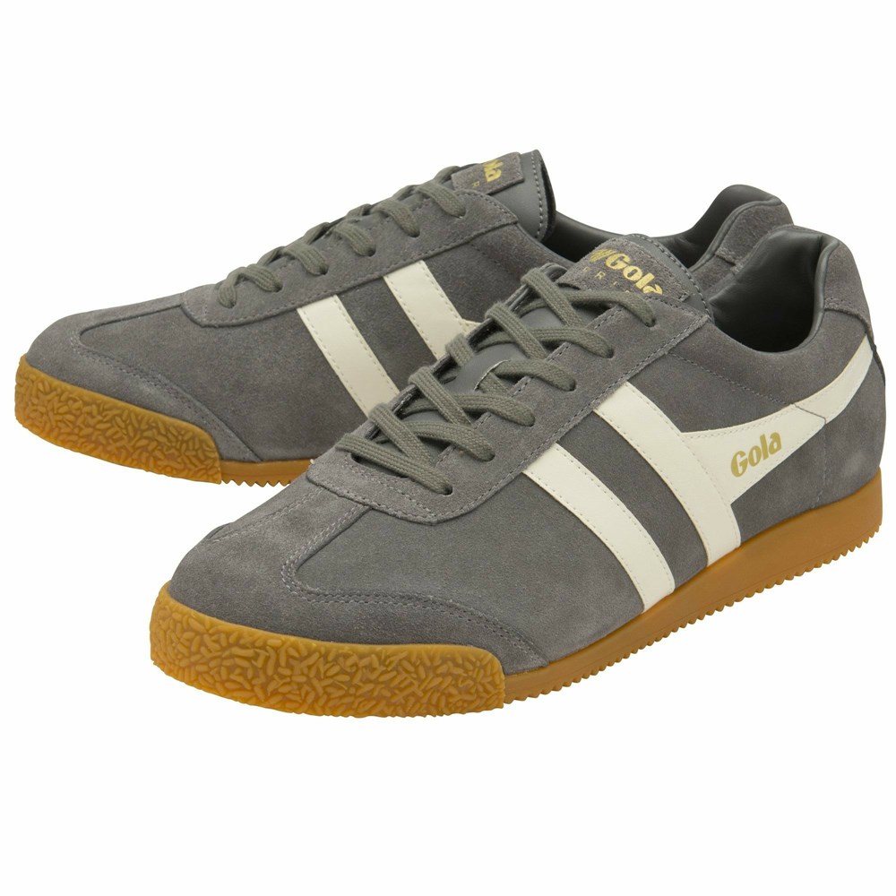 Gola Classics Harrier Suede Men Sneakers Grey | ROSJIQ428