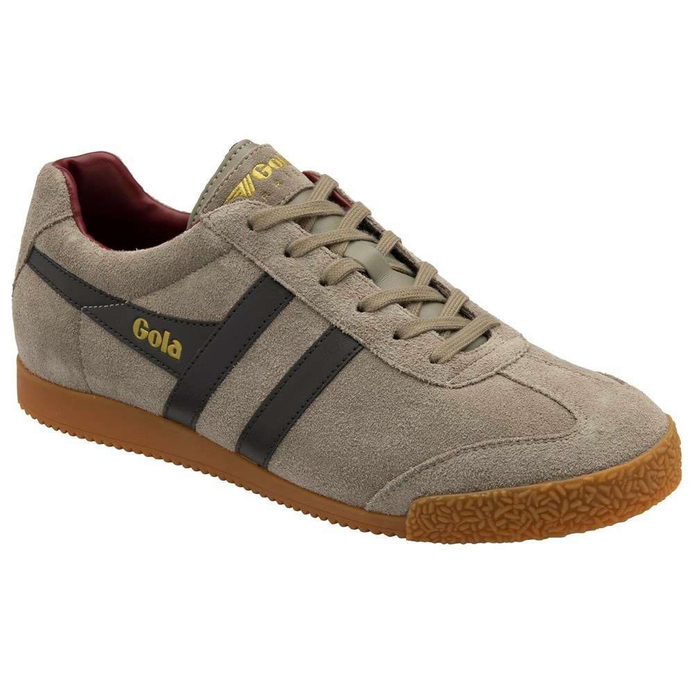 Gola Classics Harrier Suede Men Sneakers Dark Brown / Deep Red | OLFXJI832