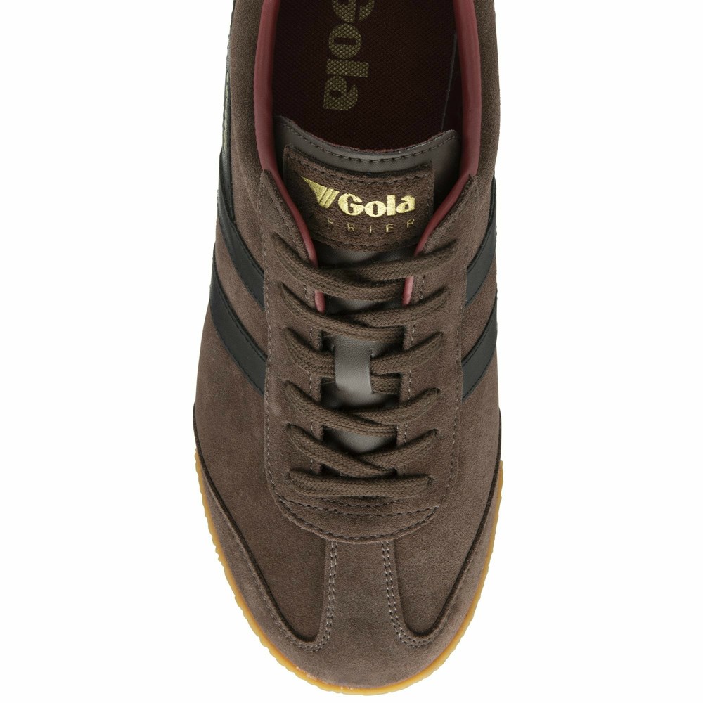 Gola Classics Harrier Suede Men Sneakers Dark Brown / Black / Deep Red | LAJSKX346