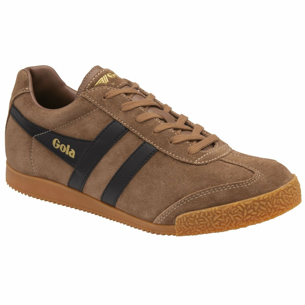 Gola Classics Harrier Suede Men Sneakers Brown / Black | WOUEIQ465