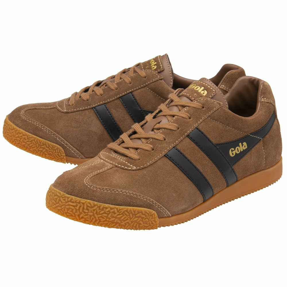 Gola Classics Harrier Suede Men Sneakers Brown / Black | WOUEIQ465