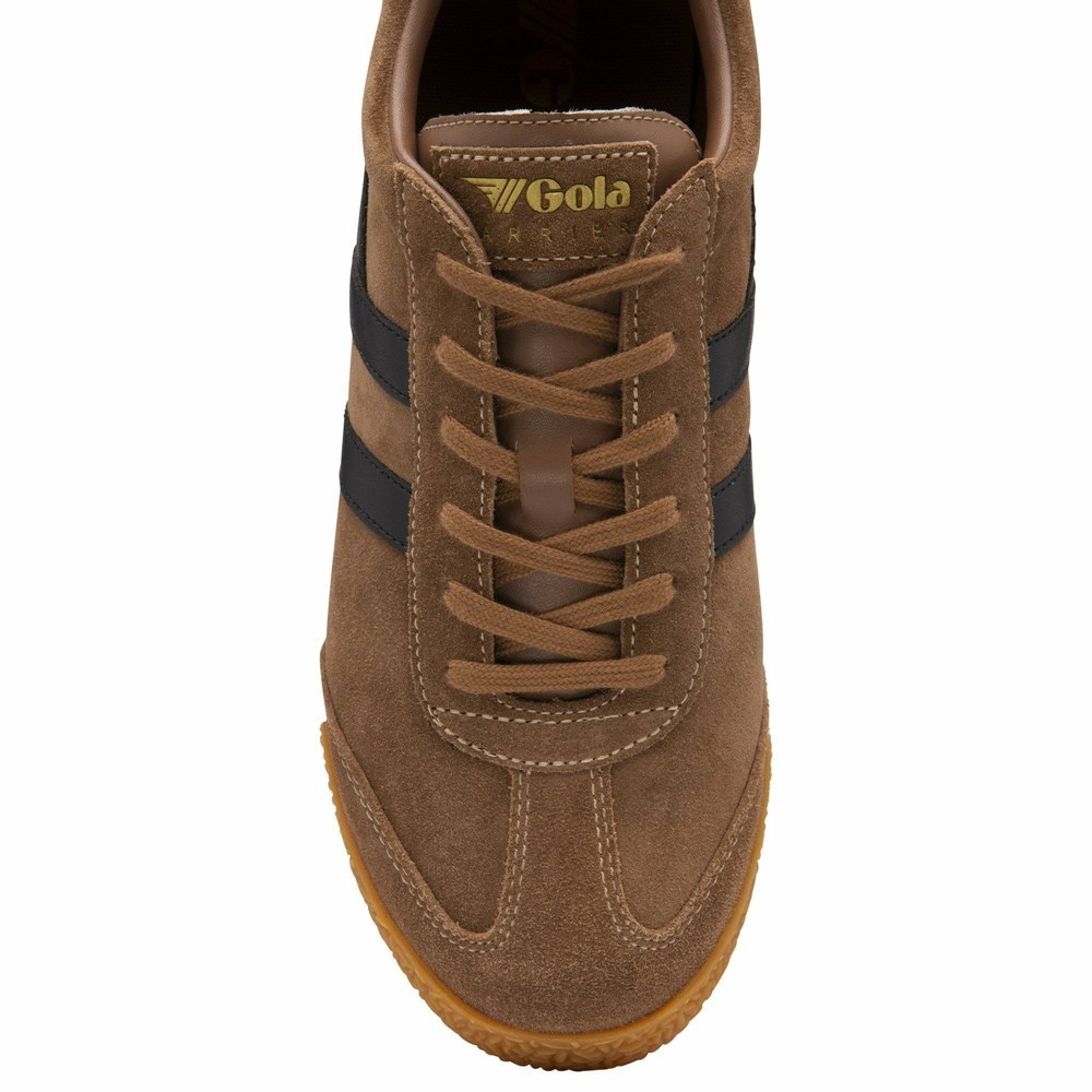 Gola Classics Harrier Suede Men Sneakers Brown / Black | WOUEIQ465