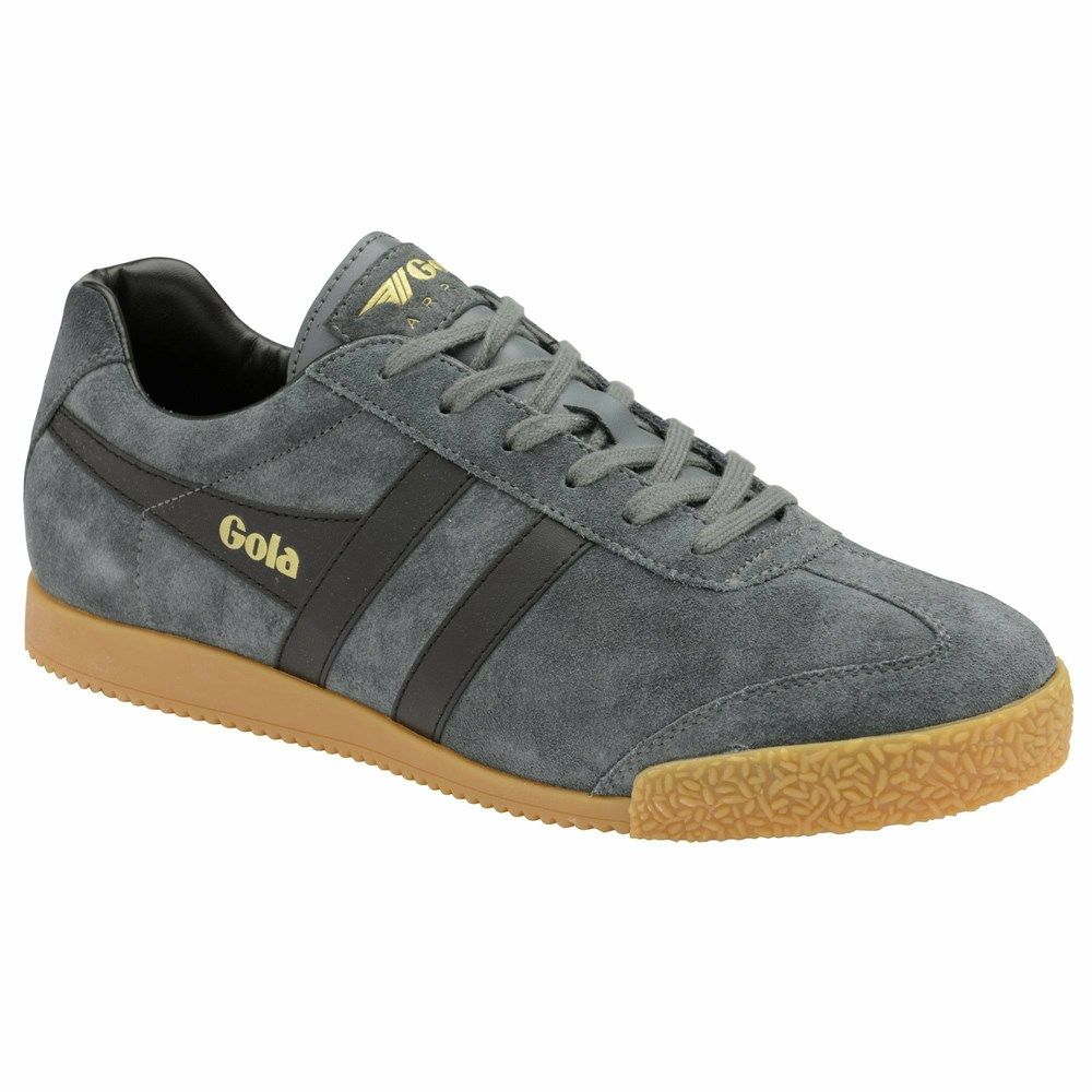 Gola Classics Harrier Suede Women Sneakers Deep Grey / Black | NSOTDP058