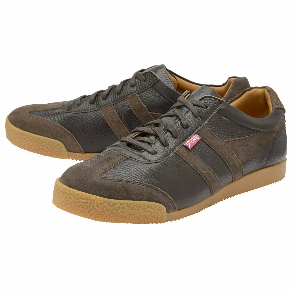 Gola Made in England - 1905 Harrier 317 Men Sneakers Brown / Brown | PCJUDA748