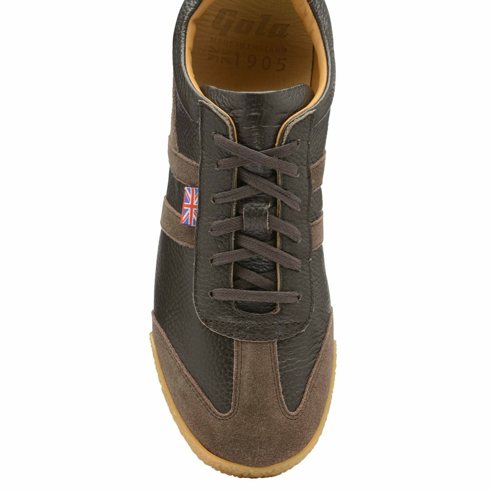 Gola Made in England - 1905 Harrier 317 Men Sneakers Brown / Brown | PCJUDA748